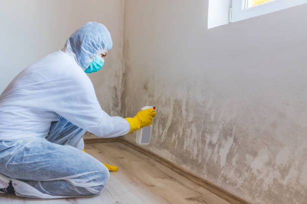 Bathroom Mold Removal assessment in Arlington bathroom