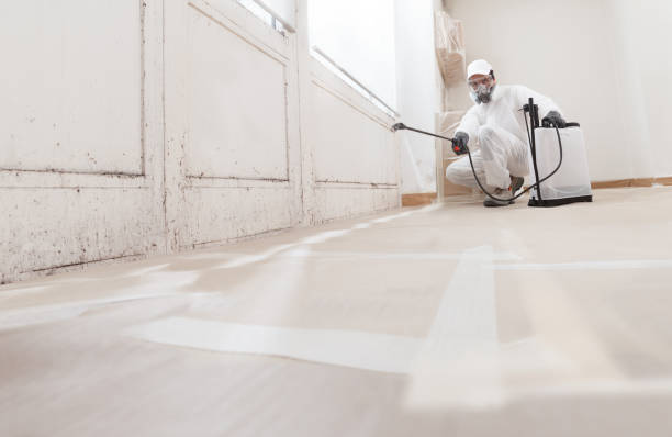 Post-remediation clearance in Arlington